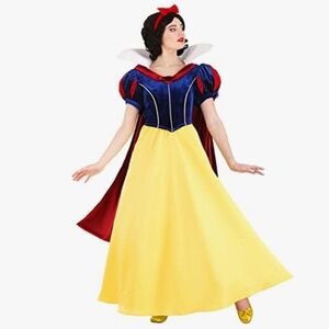Disney Women's Costume with Yellow and Blue